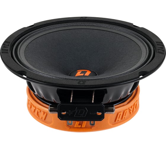 Акустическая система DL AUDIO Raven 165 v.2 1