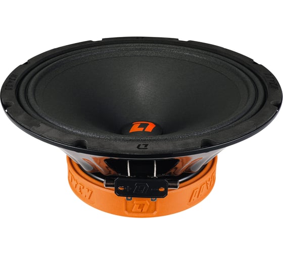 Акустическая система DL AUDIO Raven 250 v.2 1
