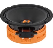 Акустическая система DL AUDIO Phoenix Punch Machine 165