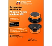 Акустическая система DL AUDIO Phoenix Punch Machine 165