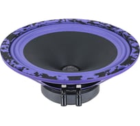 Акустическая система DL AUDIO Piranha 200 v.2