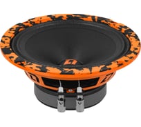 Акустическая система DL AUDIO Barracuda 165 v.2