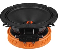 Акустическая система DL AUDIO Raven 130 v.2
