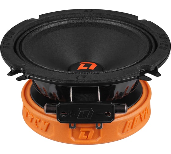 Акустическая система DL AUDIO Raven 130 v.2 1