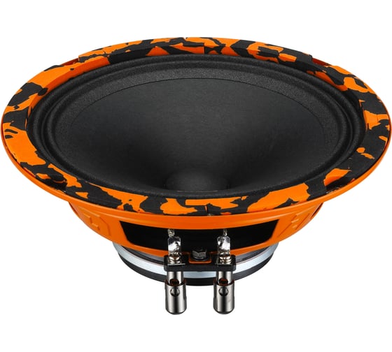 Акустическая система DL AUDIO Gryphon Pro 165 Neo 1