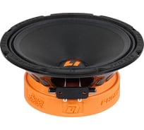 Акустическая система DL AUDIO Phoenix Punch Machine 200