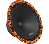Акустическая система DL AUDIO Barracuda 200 SE