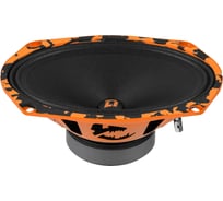 Акустическая система DL AUDIO Barracuda 69 v.2