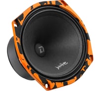 Акустическая система DL AUDIO Barracuda 69 SE