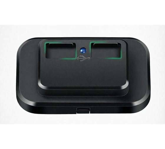 Розетка USB РИФ 2 5В/2,4А накладная RIF22-4-1017900