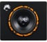 Активный сабвуфер DL AUDIO Piranha 10A SE 5