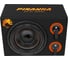 Корпусной сабвуфер DL AUDIO Piranha 12 Double Port V.2 5