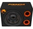 Корпусной сабвуфер DL AUDIO Piranha 12 Double Port V.2 6