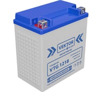 Аккумуляторная батарея Vektor Energy VTG 1218 56308