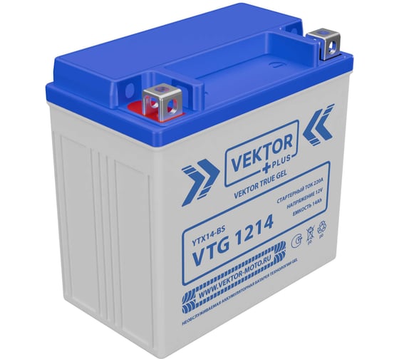 Аккумуляторная батарея Vektor Energy VTG 1214 56278