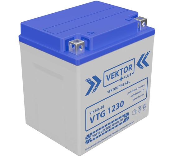 Аккумуляторная батарея Vektor Energy VTG 1230 56339