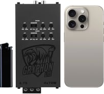 Усилитель DL AUDIO Gryphon Lite 4.70