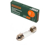 Лампа DINWARD АС 24-5 (освещение салона) 8×31 мм SV 8,5-8 10шт 746200v