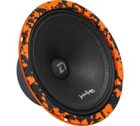 Акустическая система DL AUDIO Barracuda 165 SE