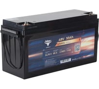 Аккумуляторная батарея литиевая Rutrike LiFePO4 (48V/50Ah/80A BT) 026502