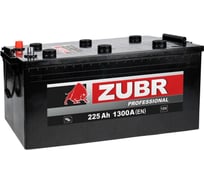 Аккумуляторная батарея ZUBR Professional 225Ah L+ ZPT2253