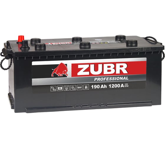 Аккумуляторная батарея ZUBR Professional 190Ah L+ ZPT1903F