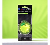 Подвесной ароматизатор Grand Caratt Яблоко, картонный 6850355