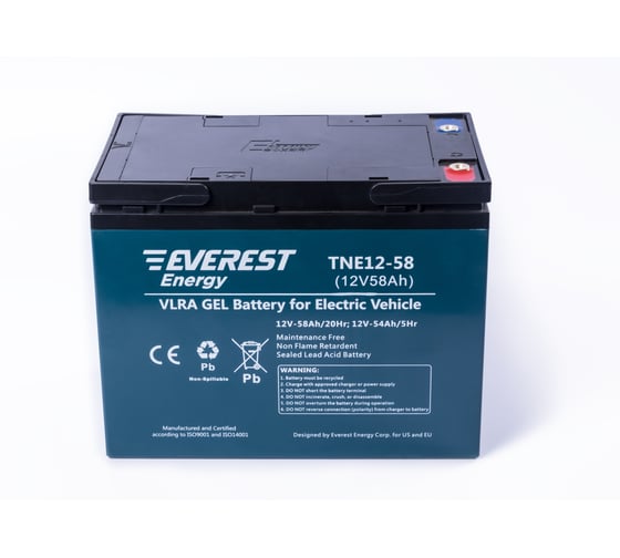 Аккумуляторная батарея тяговая EVEREST Energy TNE 12-58