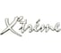 Эмблема Автостоп CHROME X'TREM 120x40мм AB-62506 873144 1
