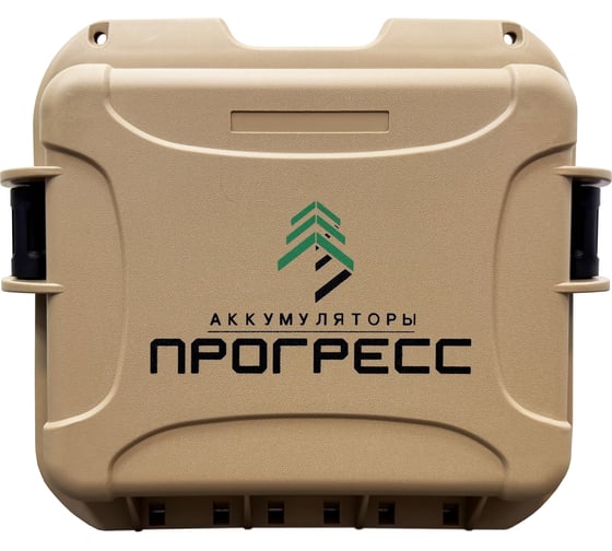Аккумуляторная батарея Прогресс LFP12105 12В, 105Ач с ЗУ 1366