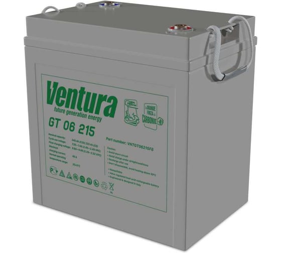 Аккумуляторная батарея тяговая Ventura GT 06 215