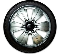 Колпаки LION Бест R15, серебристо-черный, комплект 2 шт. AK1502