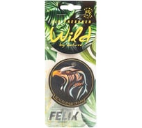 Подвесной картонный ароматизатор FELIX Белоплечий орлан 411040175