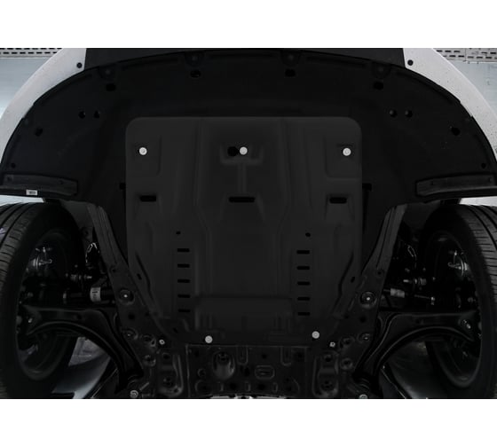 Защита картера и КПП АвтоБроня Hyundai Santa Fe/Santa Fe/Tucson/Kia Sorento/Sportage, 111.02862.1
