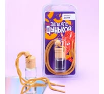 Подвесной ароматизатор LUAZON Запахло дынькой, дыня, 5 мл 7139161