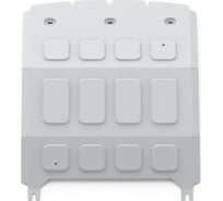 Защита картера и КПП + комплект крепежа Rival для EXEED VX 2021-, V - 2.0, алюминий 333.0928.1