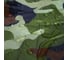 Защитный чехол-тент AutoExpert AutoXL на квадроцикл, камуфляж, 210x120x115 см X210-Camo 6