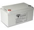 Тяговый аккумулятор Rutrike 6-CNF(J)-50 (12V54A/H C20) 023276 1