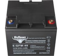 Тяговый аккумулятор Rutrike 6-GFM-40 (12V43A/H C20) 023278 23717949