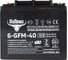 Аккумуляторная батарея Rutrike 6-GFM-40 (12V43A/H C20) 023278 2