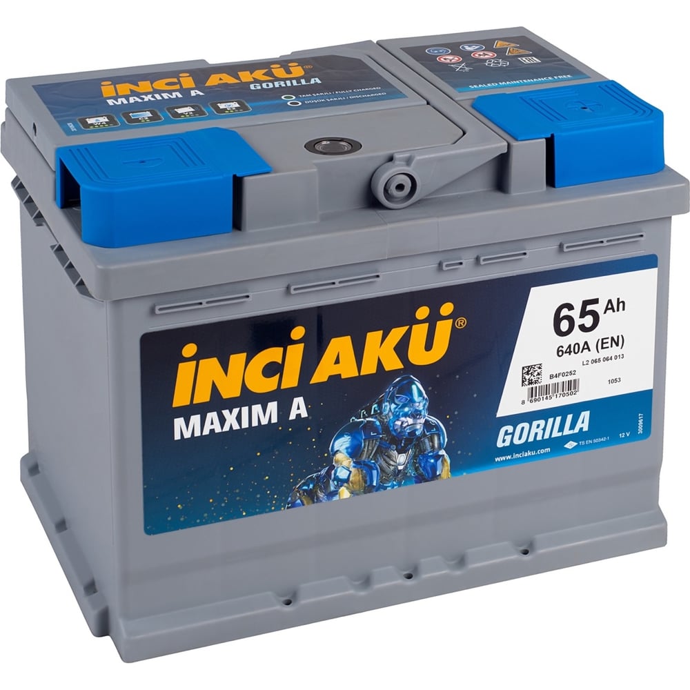 Аккумулятор INCI AKU Maxim A 65R, 640 A, 242x175x190 мм 461402 - выгодная  цена, отзывы, характеристики, фото - купить в Москве и РФ