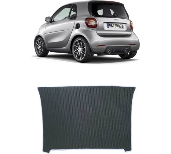 Ковры в салон автомобиля Eva Smart smart fortwo iii (c453) 2014 - эва сота бежевые c синей окантовкой 2682-A1B2-S