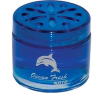 Ароматизатор KOTO Ocean Fresh FSH-201 0975607631