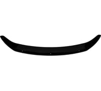 Дефлектор капота EXEED LX, 2021-, темный Sim NLD.SCRELX2112