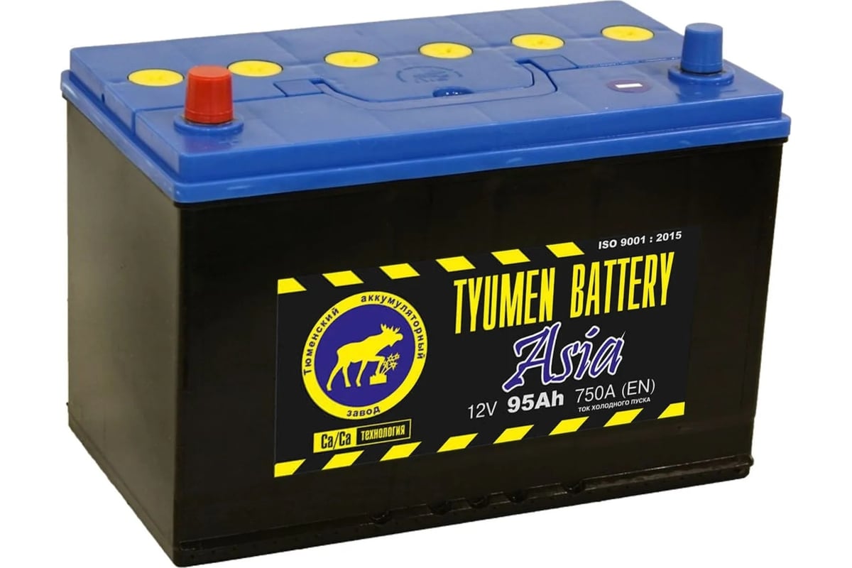 Аккумуляторная батарея TYUMEN BATTERY Тюмень asia 6ст -95.1 l TNSa95.1 -  выгодная цена, отзывы, характеристики, фото - купить в Москве и РФ