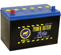 Аккумуляторная батарея TYUMEN BATTERY Тюмень asia 6ст -95.1 l TNSa95.1