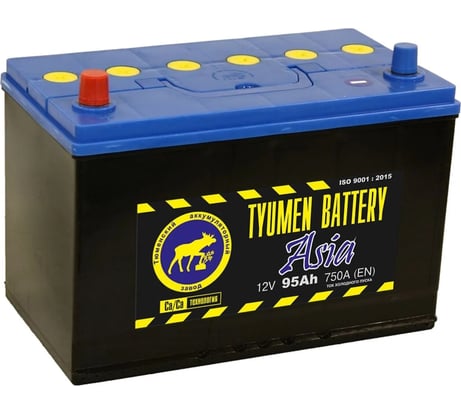 Аккумуляторная батарея TYUMEN BATTERY Тюмень asia 6ст -95.1 l TNSa95.1