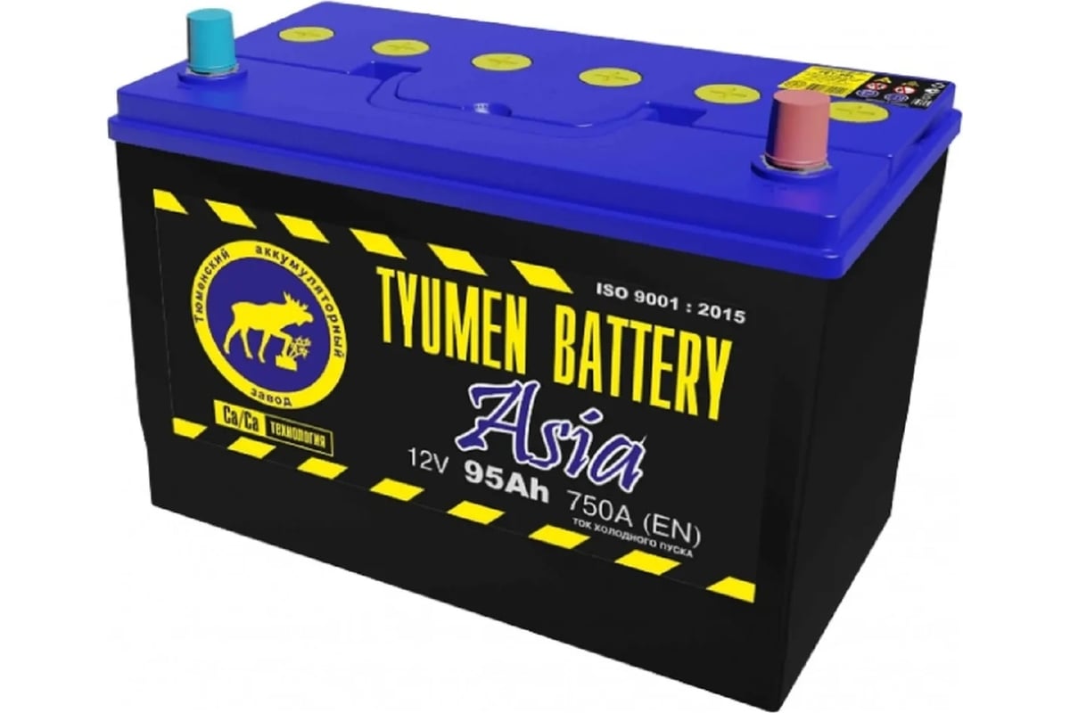 Аккумуляторная батарея TYUMEN BATTERY Тюмень asia 6ст -95.0 l TNSa95.0 -  выгодная цена, отзывы, характеристики, фото - купить в Москве и РФ