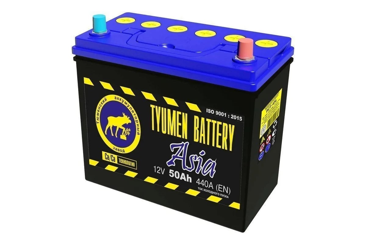 Аккумуляторная батарея TYUMEN BATTERY Тюмень asia 6ст-50.1 тонк.кл.  TNSa50.1 - выгодная цена, отзывы, характеристики, фото - купить в Москве и  РФ