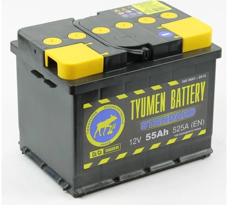Аккумуляторная батарея TYUMEN BATTERY Тюмень standard 6ст -55.1 l TNS55.1